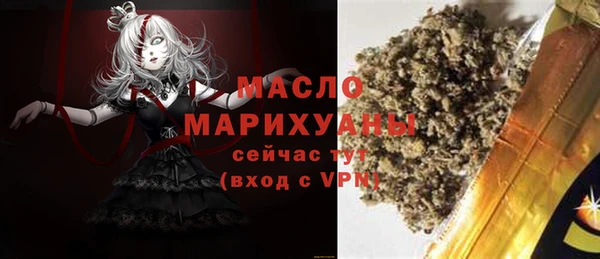 гашик Няндома