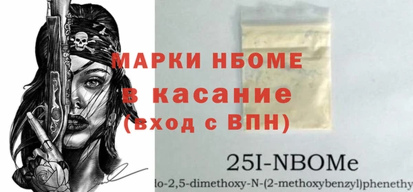 гашик Няндома