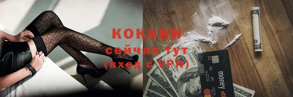 гашик Няндома