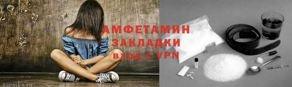гашик Няндома