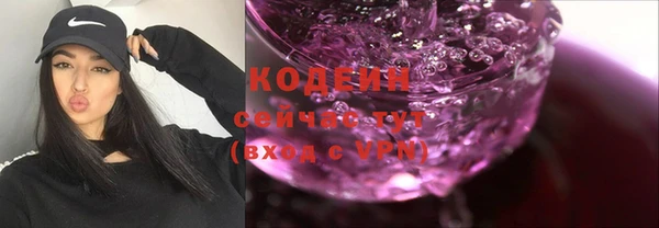 гашик Няндома