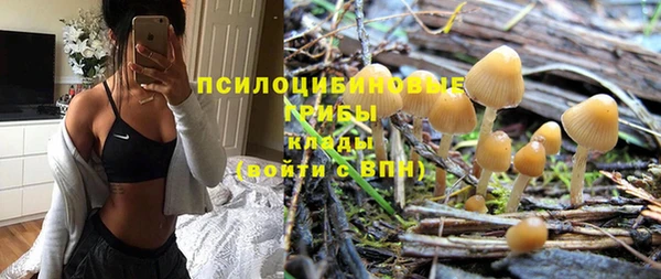 гашик Няндома